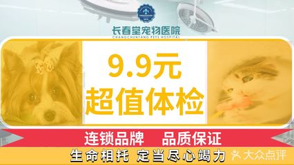 聚焦清晰视界，守护明眸健康——走进长春堂宠物医院特色眼科中心